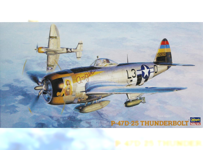 Сборная модель P-47D Thunderbolt