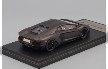 LAMBORGHINI Aventador (2011), matt antrazit