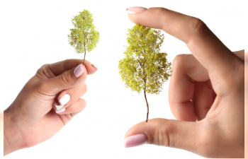 «Солнечная крона» - Набор деревьев для макетирования 5 шт.