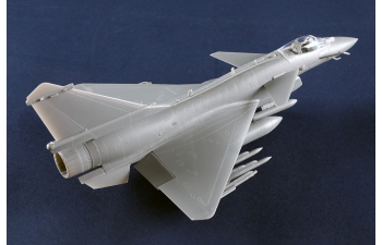 Сборная модель многоцелевой истребитель ВВС Филиппин J-10CE и израильский Rafale 2 в 1