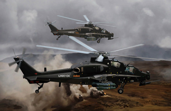 Сборная модель WZ-10 Attack Helicopter