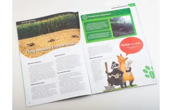 Дикие животные России № 22: Барсук