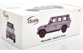 Mercedes-Benz G-Class (W463) 2015 (platingrey magno)