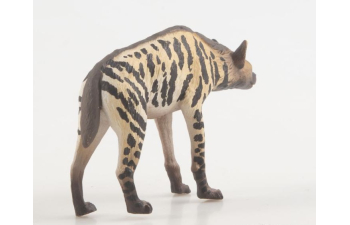 Дикие животные России № 35: Полосатая гиена (только вложение)