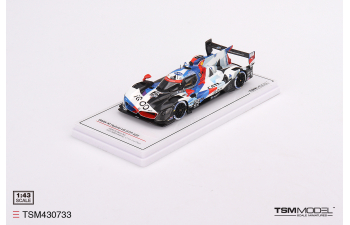 BMW M Hybrid V8 #25 - BMW M Team RLL - IMSA Sebring 12 Hrs 2nd Place 2023