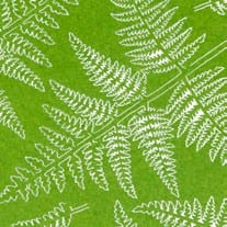 Bracken Fern