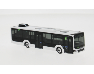 MAN Lions City 12 Regionalverkehr Erzgebirge (2018)