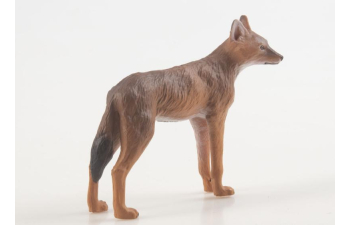 Дикие животные России № 32: Шакал