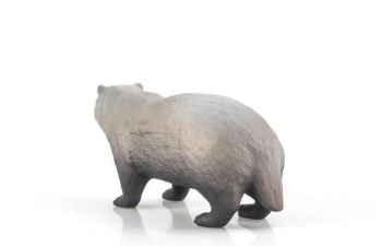 Дикие животные России № 22: Барсук (только вложение)