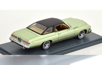 BUICK Le Sabre HT Coupe, light green metallic flat black