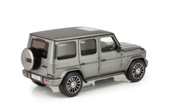 MERCEDES-BENZ W463 G-Klasse W463 II (2018), designo platinum magno