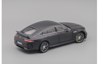MERCEDES-BENZ AMG GT63s, gray matt