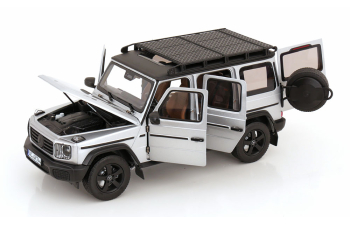 MERCEDES-BENZ G-Class G500 Professional Line 4x4 (W465) (2024), Iridium Silver
