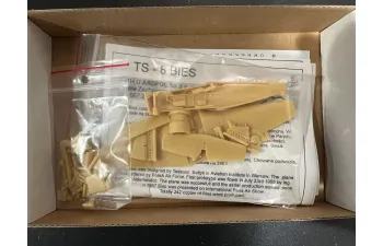 Сборная Polish PZL TS-8 Bies