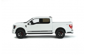 SHELBY F-150 STAR (2022), white