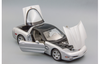 CHEVROLET Corvette (1999), silver