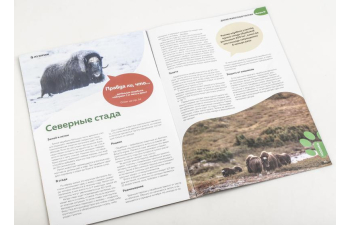 Дикие животные России № 31: Овцебык