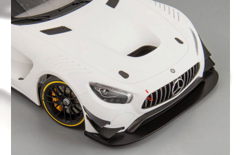 MERCEDES-BENZ AMG GT3 2015 plain body version, matt white