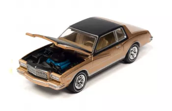 CHEVROLET Monte Carlo (1980), camel gold/ black