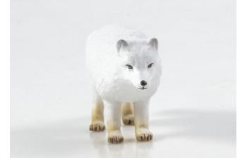 Дикие животные России № 18: Песец