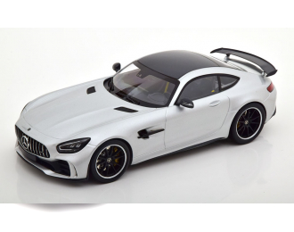 MERCEDES-BENZ AMG GTR (2021), silver