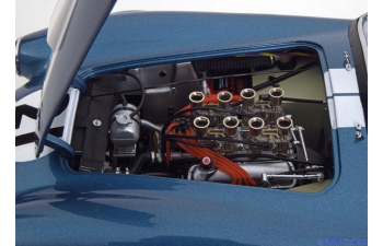 AC Shelby Cobra 289 No 21, blue metallic / white