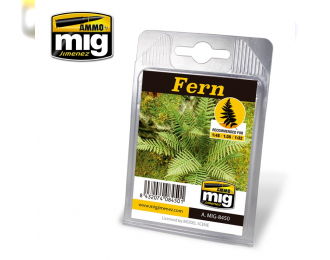 FERN (папоротник)