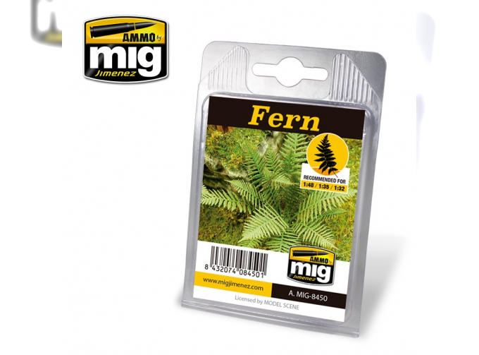 FERN (папоротник)