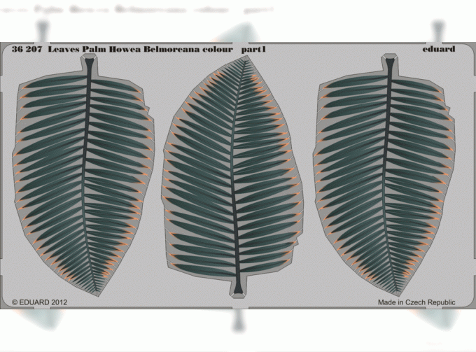 Фототравление для Leaves Palm Howea Belmoreana colour