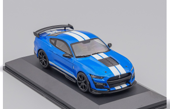 FORD Mustang Shelby GT500 Fast Track (2020), blue metallic / white