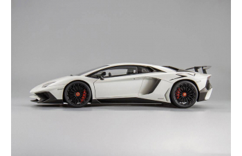 LAMBORGHINI Aventador LP750-4 SV (2015), matt white