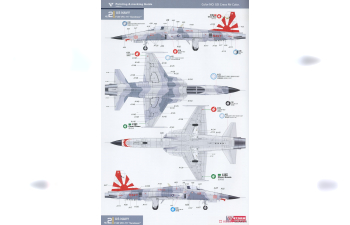 Сборная модель F-5N/E Tiger II US NAVY VFC-111