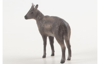 Дикие животные России № 34: Амурский горал (только вложение)