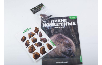 Дикие животные России № 8: Бобр