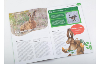 Дикие животные России № 10: Заяц русак