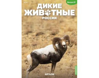 Дикие животные России № 37: Аргали