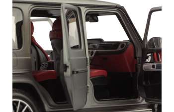 MERCEDES-BENZ W463 G-Klasse W463 II (2018), designo platinum magno