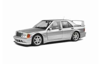 Mercedes-Benz 190E 2.5 16V EVO2 (silver)