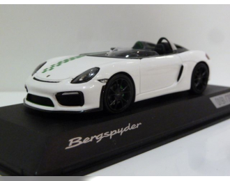 PORSCHE Boxster (981) Berspyder (2020), White Green