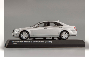 MERCEDES-BENZ S 600 Guard (V221), silver