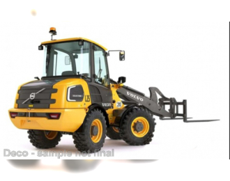 VOLVO L25 W (2019), yellow/grey