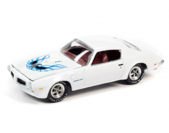 PONTIAC Firebird Trans Am T/A Cameo, White with Blue and Black Bird Graphics on Hood 1973