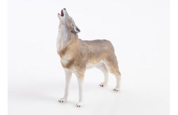 Дикие животные России № 7: Волк