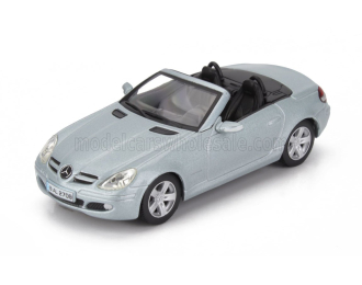 MERCEDES-BENZ Slk-class Slk 200 Kompressor Spider Cabriolet (2004), silver