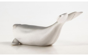 Дикие животные России № 33: Белуха (только вложение)