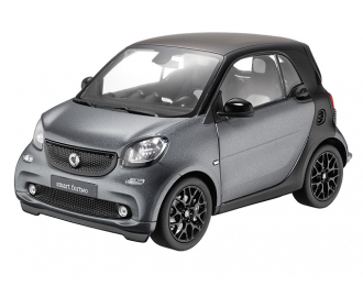 SMART ForTwo Coupe Passion C453 (2014), black / titania grey matt.