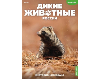 Дикие животные России № 26: Енотовидная собака