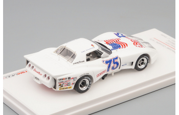 (Уценка!) CHEVROLET Corvette №75 Daytona 24Hr ´´Spirit of Sebring ´´ (1975)