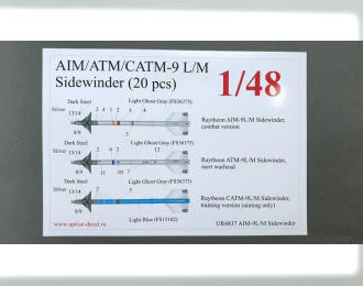 Декаль для AIM/ATM/CATM-9 L/M Sidewinder (10 pcs)