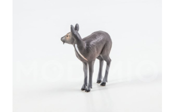 Дикие животные России № 19: Кабарга